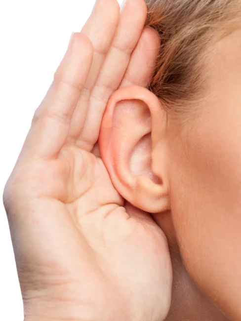 İşitme Yetersizliği Olan Bireyler İçin Destek Eğitim Programı