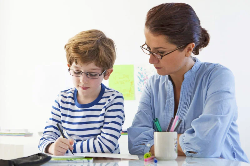 Öğrenme Güçlüğü Olan Bireyler İçin Destek Eğitim Programı | Özel Eğitim Öğretmenleri